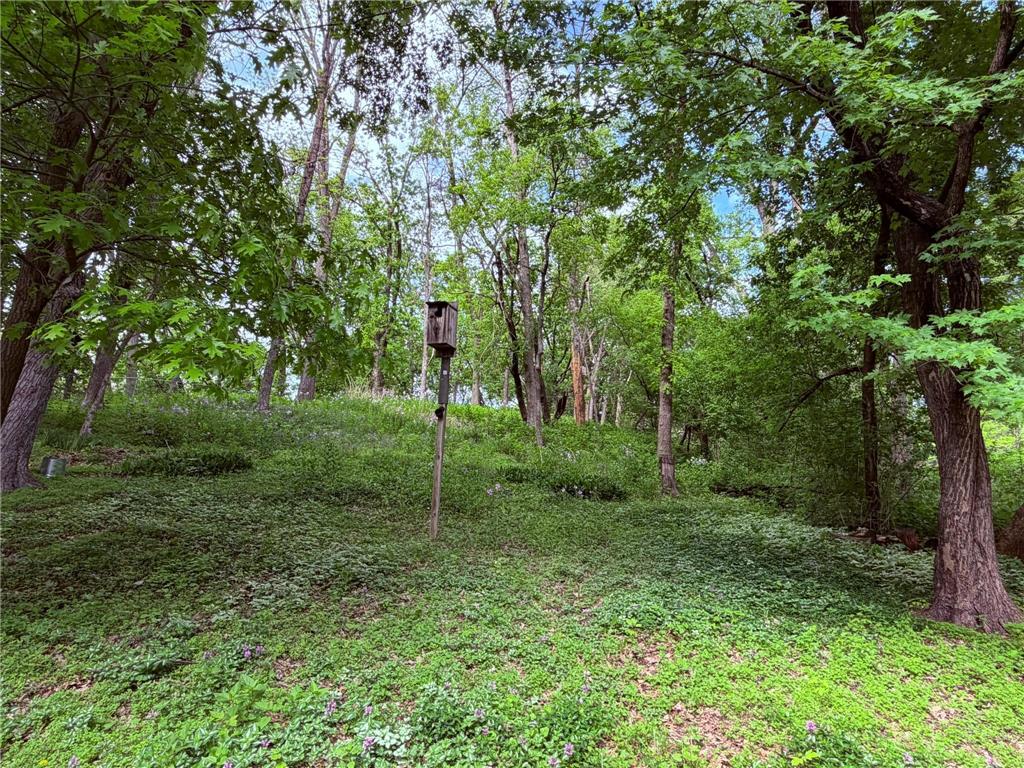 850 Winthrop Street S Saint Paul MN 55119 7074266 image43