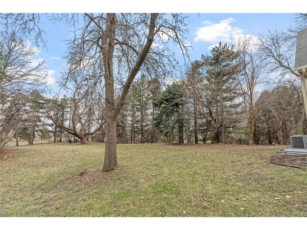 8508 Waters Edge Drive Chanhassen MN 55317 - Susan Lake 7025421 image51