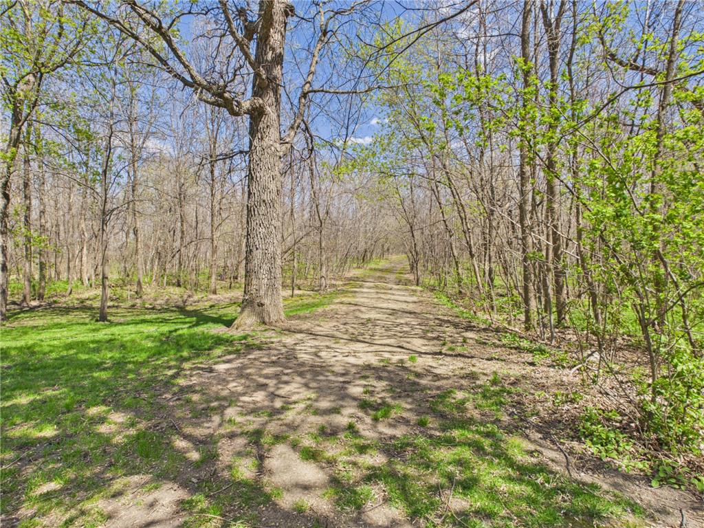 8509 State Highway 114 SW Lake Mary Twp MN 56308 7070660 image34
