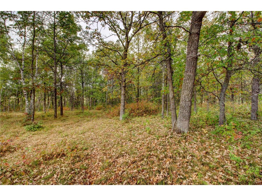 851 E Blueberry River Drive Menahga MN 56464 6796495 image47