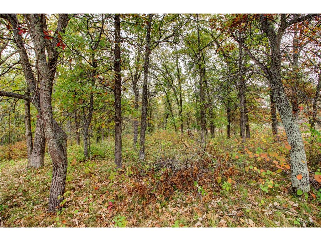 851 E Blueberry River Drive Menahga MN 56464 6796495 image48