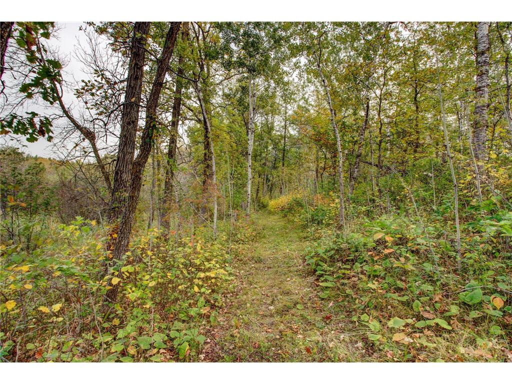 851 E Blueberry River Drive Menahga MN 56464 6796495 image49