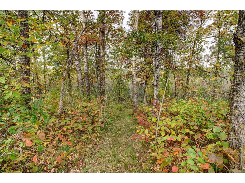 851 E Blueberry River Drive Menahga MN 56464 6796495 image50