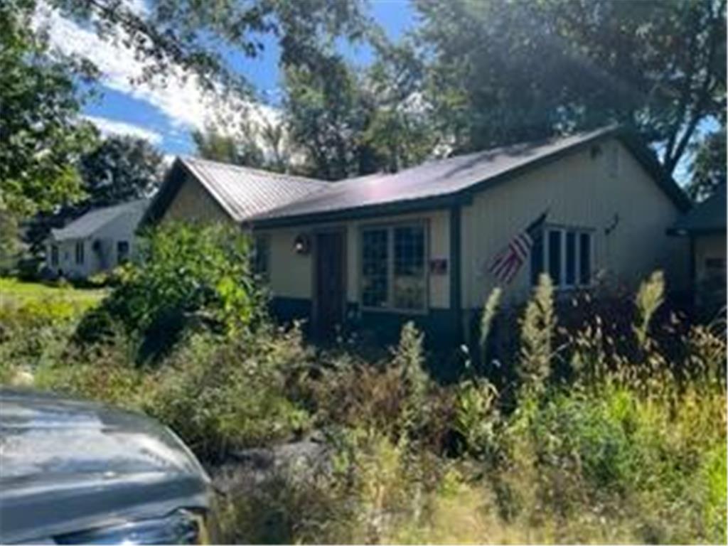 85135 S Island Circle, Hollandale, MN 56045 MLS 6262211 Edina Realty