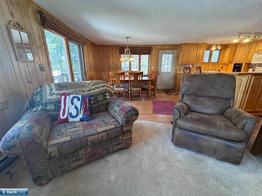8519 Peterson Road Cook MN 55723 - Vermilion 7044687 image20