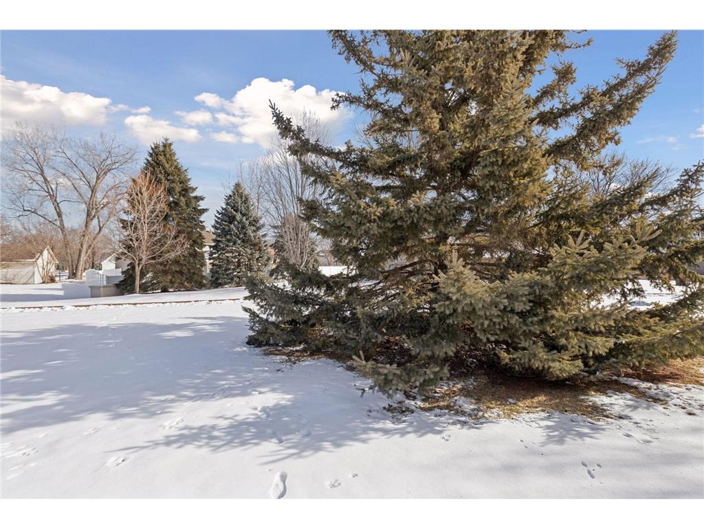 8520 Inverness Lane N Brooklyn Park MN 55443 7026354 image35