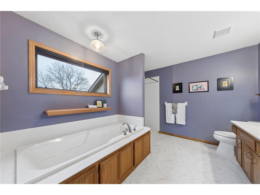 8528 Flamingo Drive Chanhassen MN 55317 7077395 image8