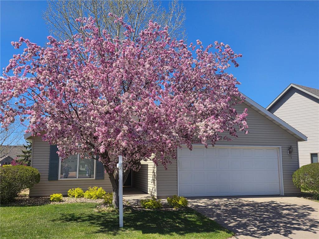 853 Aspen Circle Waite Park MN 56387 7070587 image2