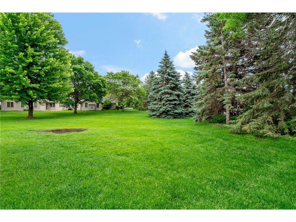 8541 Inverness Lane N Brooklyn Park MN 55443 7090894 image7