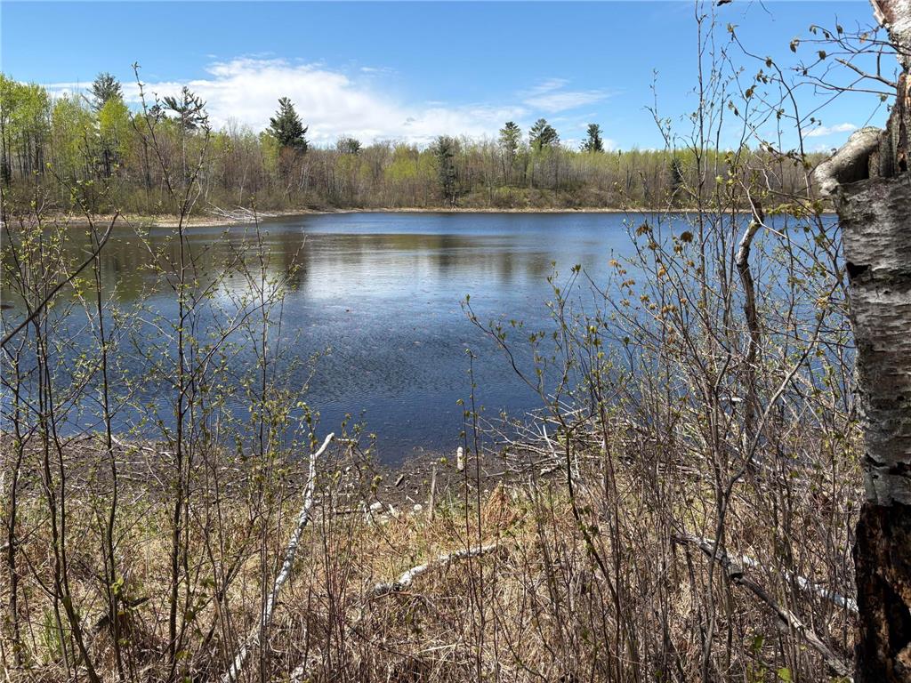 854x W Chub Lake Rd Twin Lakes Twp MN 55718 7078986 image1