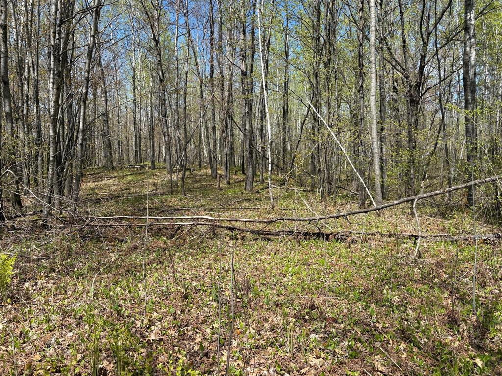 854x W Chub Lake Rd Twin Lakes Twp MN 55718 7078986 image3