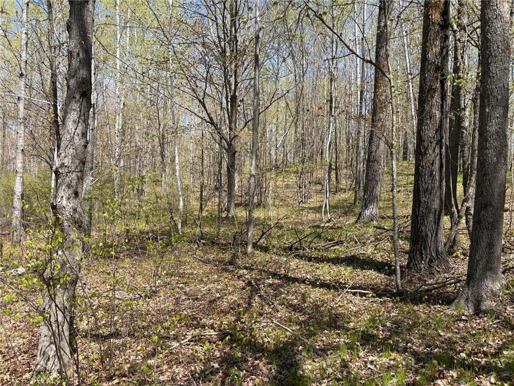 854x W Chub Lake Rd Twin Lakes Twp MN 55718 7078986 image4