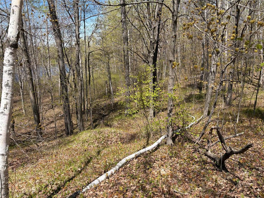 854x W Chub Lake Rd Twin Lakes Twp MN 55718 7078986 image5