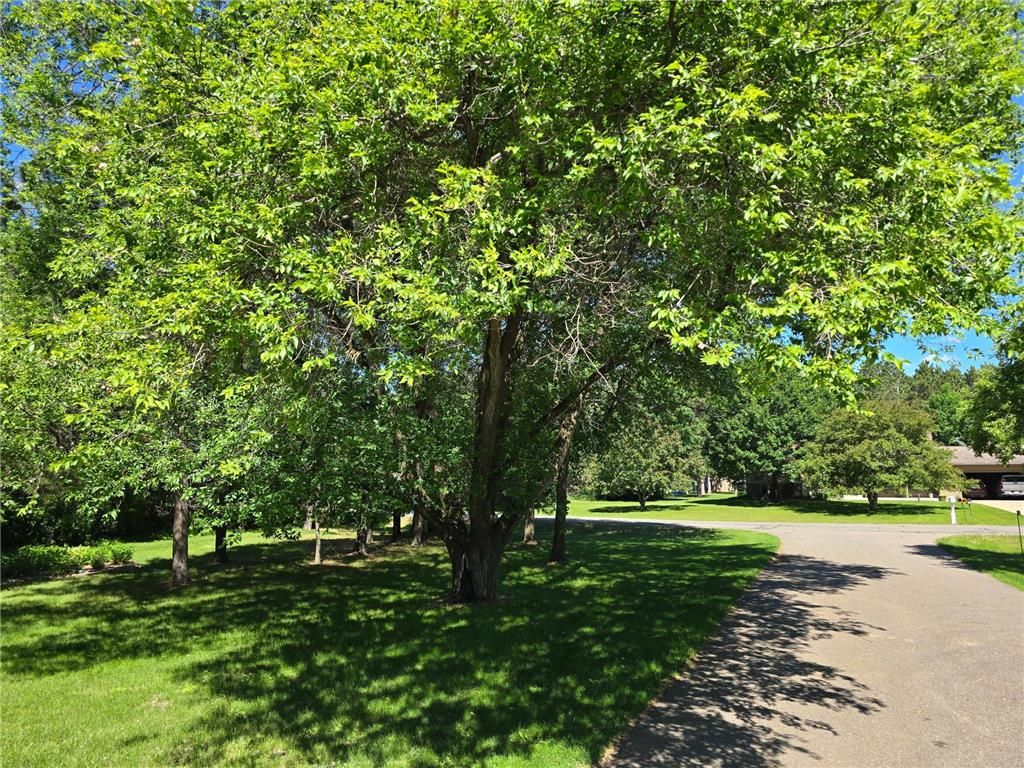 8550 Timberlane Loop NW Watab Twp MN 56367 7097872 image17