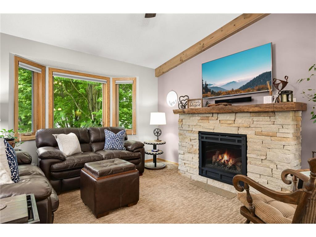 8553 Chanhassen Hills Drive S Chanhassen MN 55317 7055321 image11