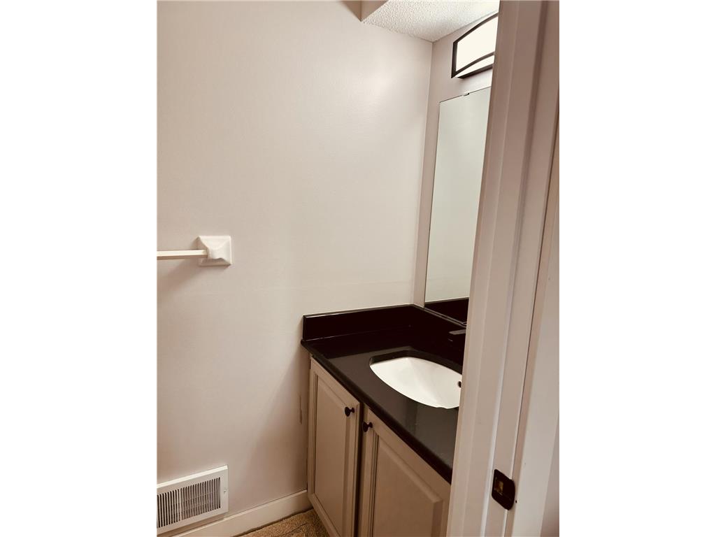 8556 S Pond Trail Champlin MN 55316 7069638 image13