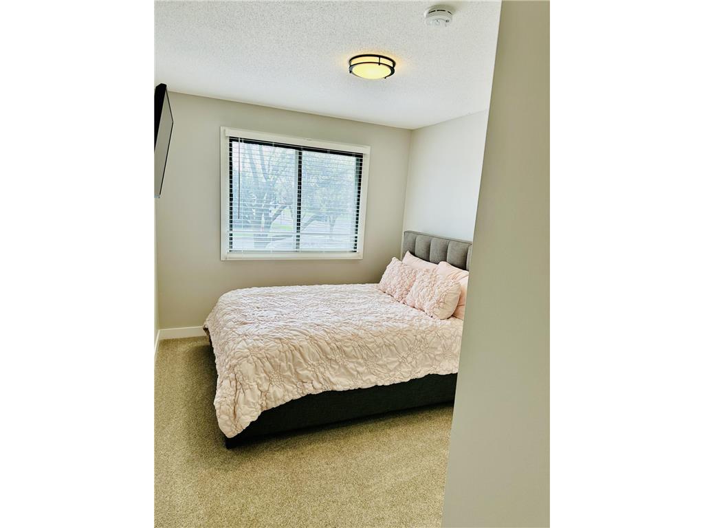 8556 S Pond Trail Champlin MN 55316 7069638 image8
