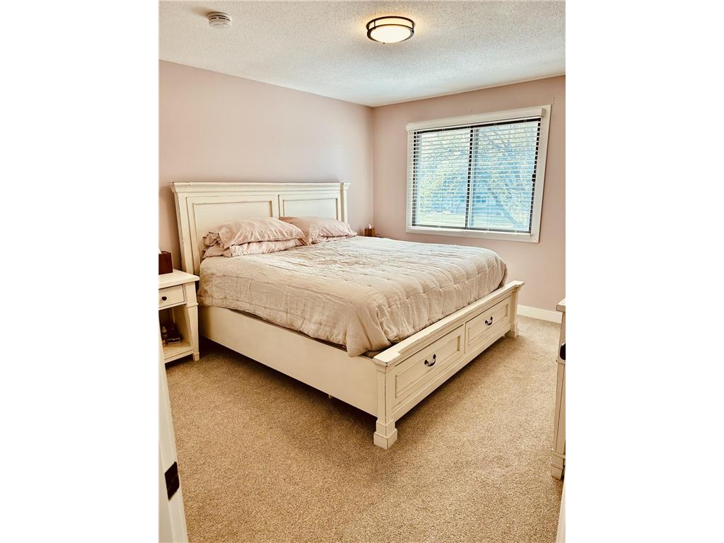 8556 S Pond Trail Champlin MN 55316 7069638 image9