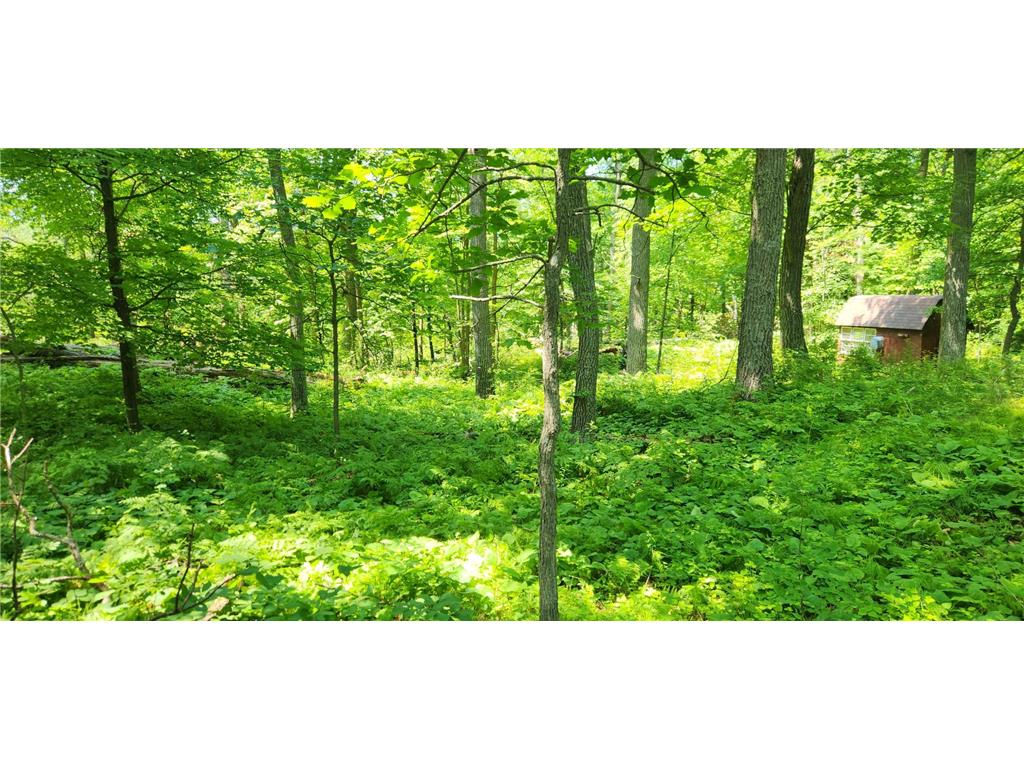 8565 Bear Island Landing NW Walker MN 56484 - Leech Lake 7103605 image10
