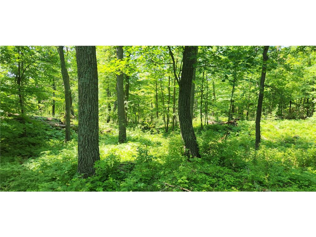 8565 Bear Island Landing NW Walker MN 56484 - Leech Lake 7103605 image18