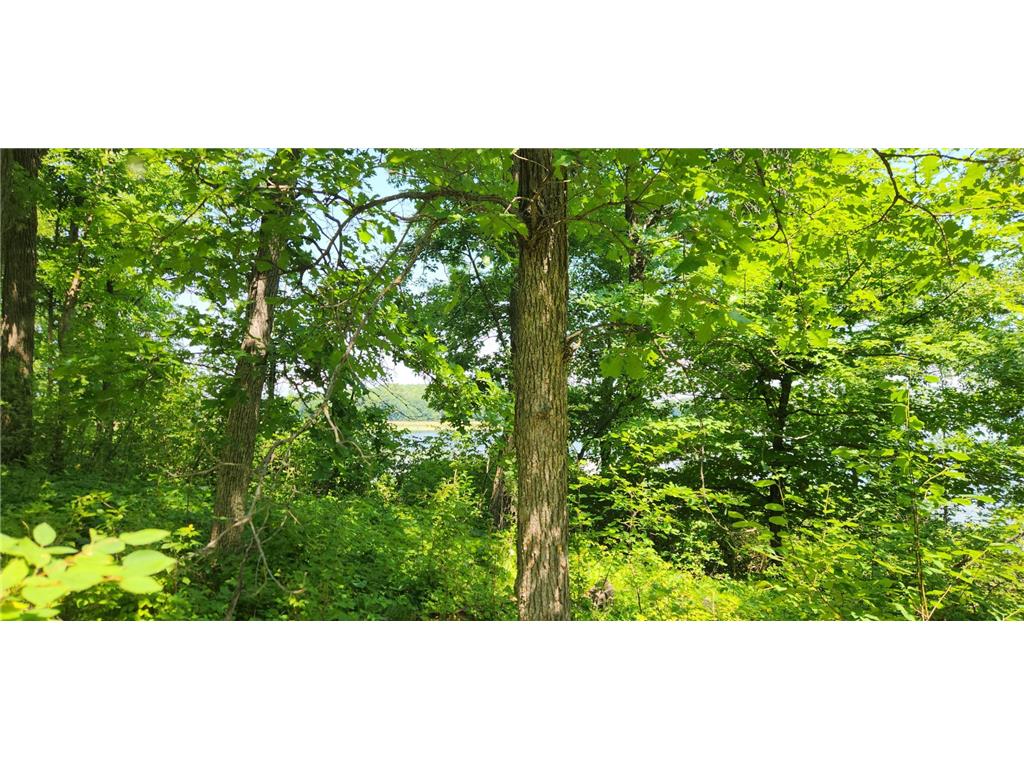 8565 Bear Island Landing NW Walker MN 56484 - Leech Lake 7103605 image21