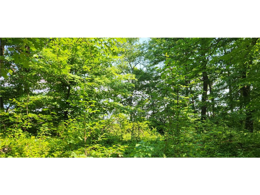8565 Bear Island Landing NW Walker MN 56484 - Leech Lake 7103605 image22
