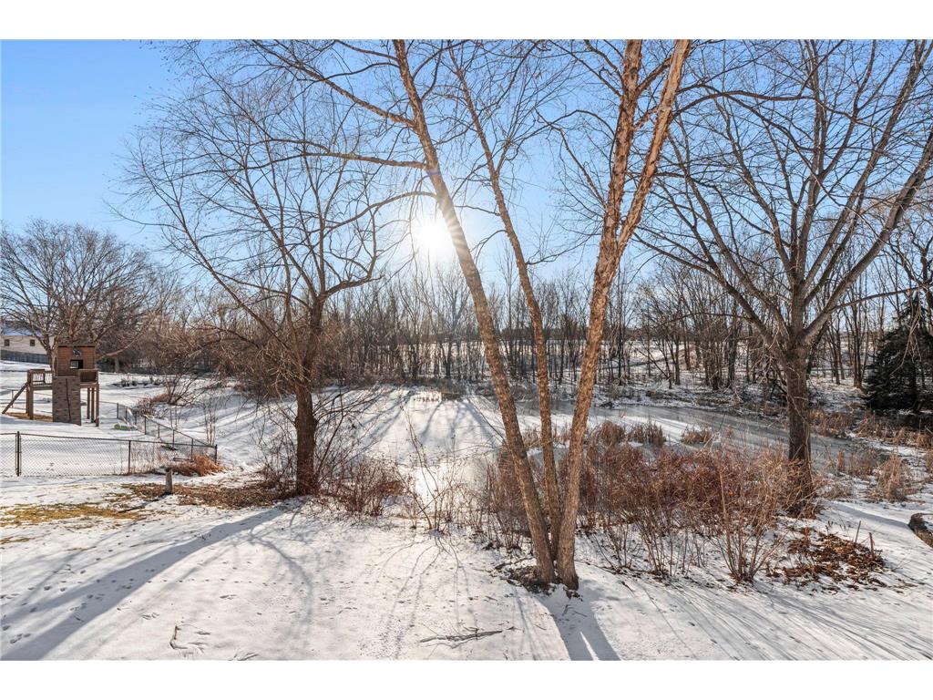 8565 Upland Lane N Maple Grove MN 55311 7026308 image55