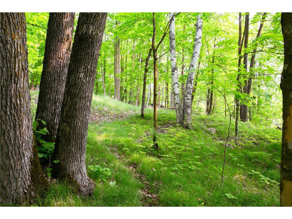 8586 W Graves Lake Road NE Remer MN 56672 - Grave 6724457 image11