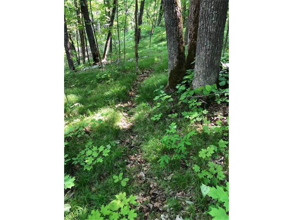 8586 W Graves Lake Road NE Remer MN 56672 - Grave 6724457 image12