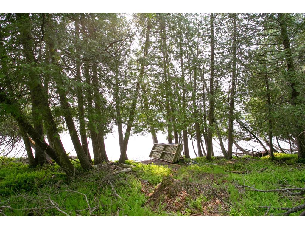 8586 W Graves Lake Road NE Remer MN 56672 - Grave 6724457 image13