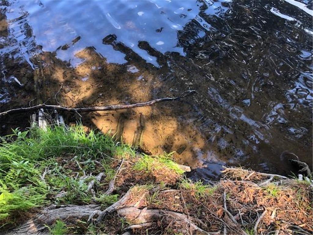 8586 W Graves Lake Road NE Remer MN 56672 - Grave 6724457 image16