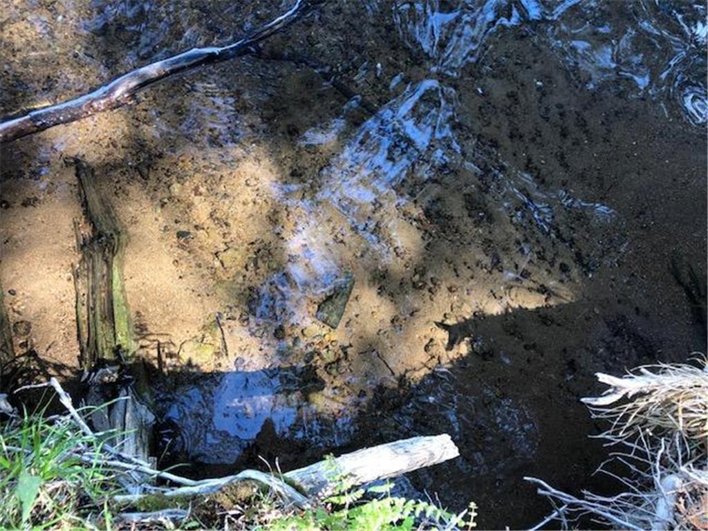 8586 W Graves Lake Road NE Remer MN 56672 - Grave 6724457 image17