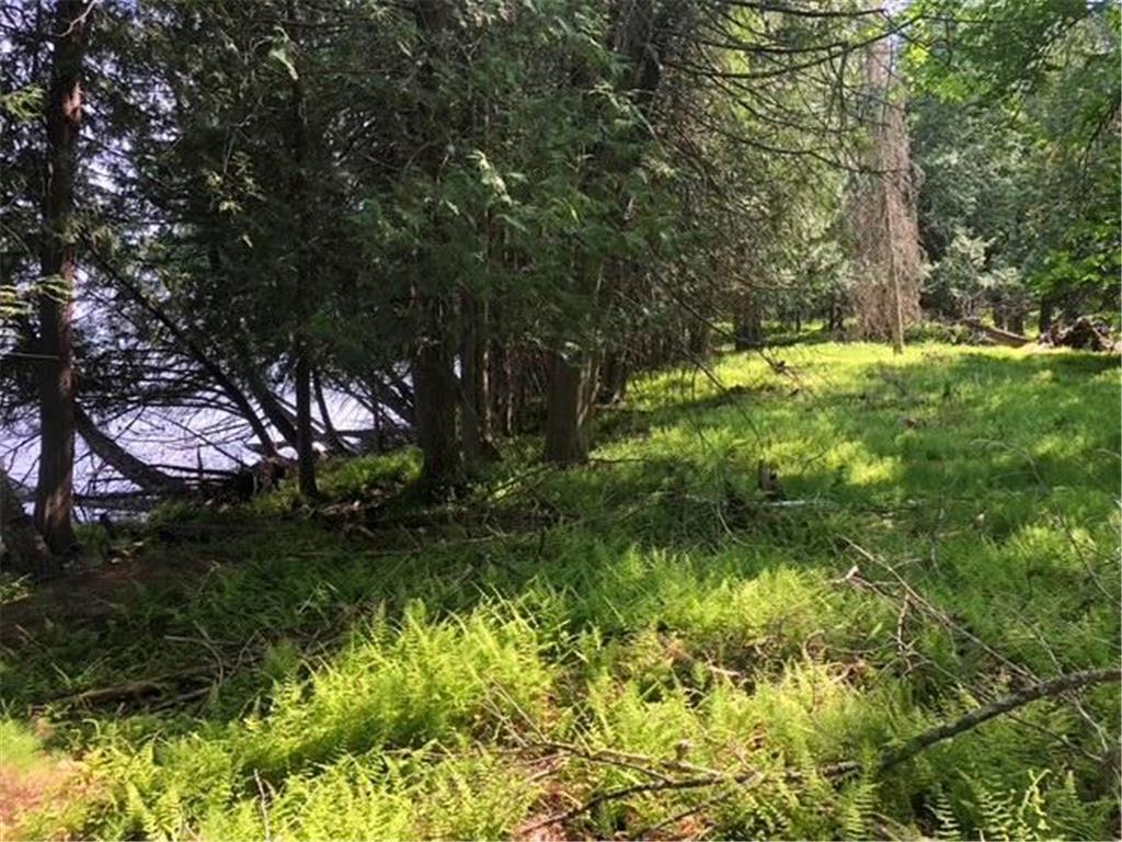 8586 W Graves Lake Road NE Remer MN 56672 - Grave 6724457 image18