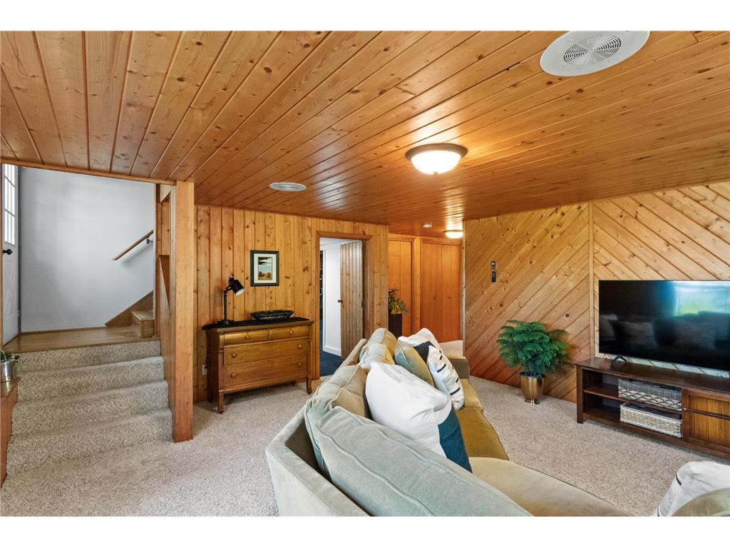 8590 Sara Road NW Brandon MN 56315 - Chippewa 7108998 image57