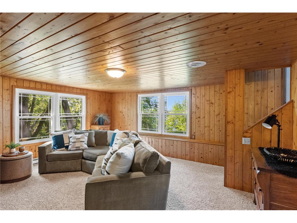 8590 Sara Road NW Brandon MN 56315 - Chippewa 7108998 image60