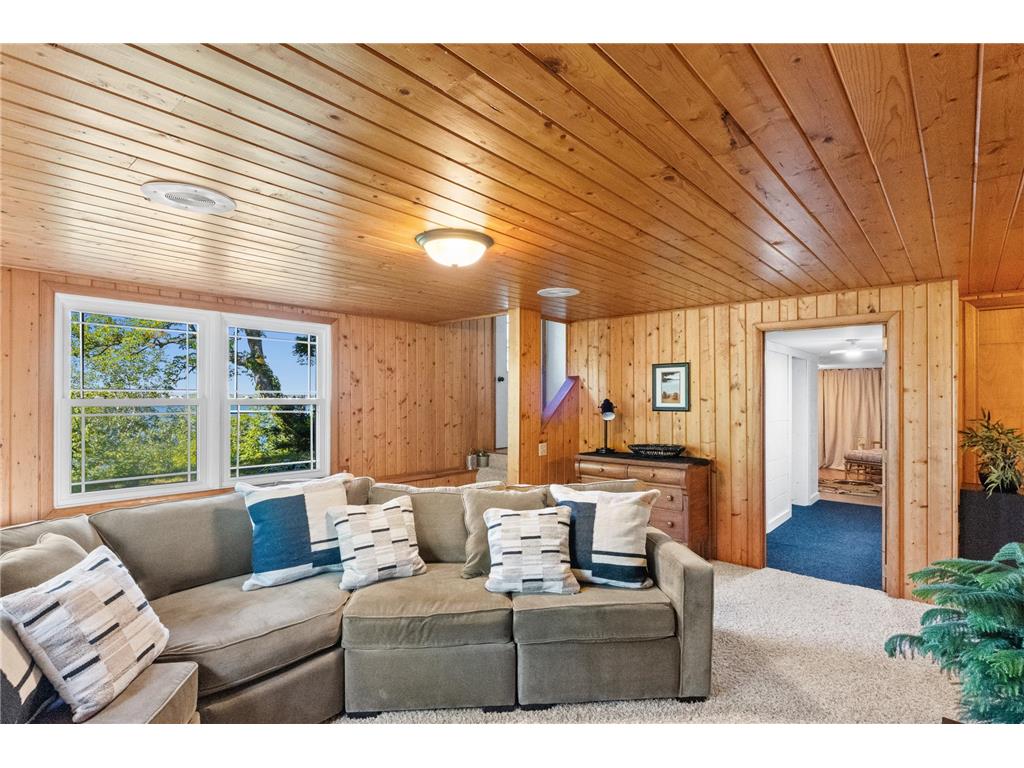 8590 Sara Road NW Brandon MN 56315 - Chippewa 7108998 image61