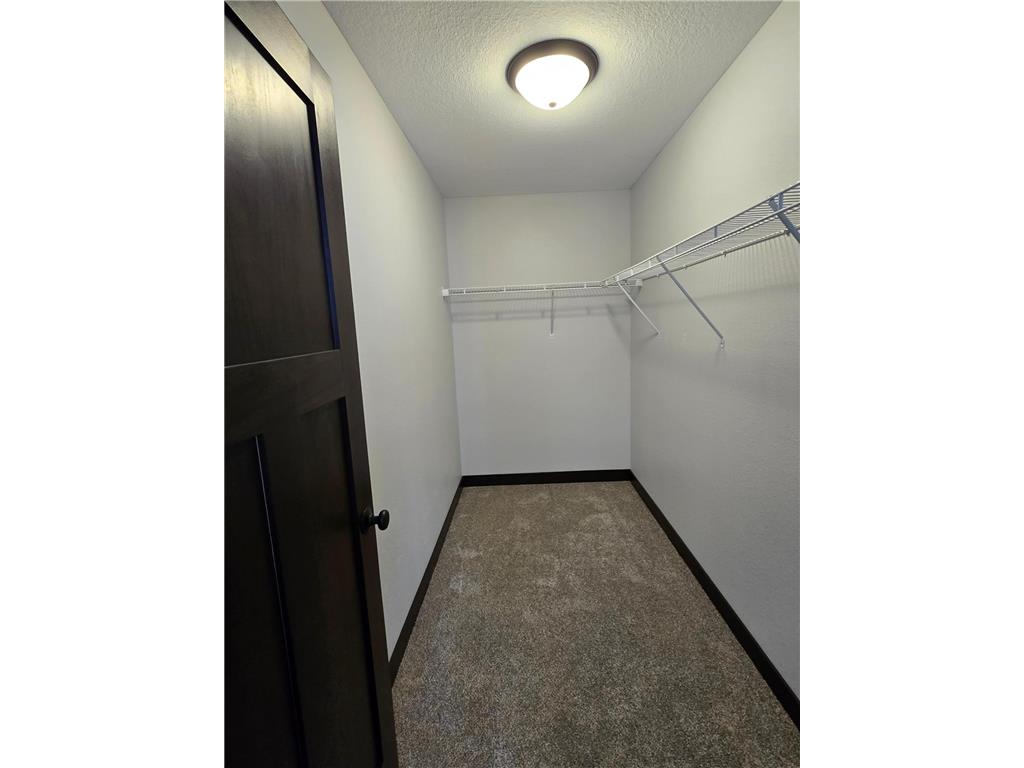 86 Balsam Lane Madison Lake MN 56063 7051464 image19