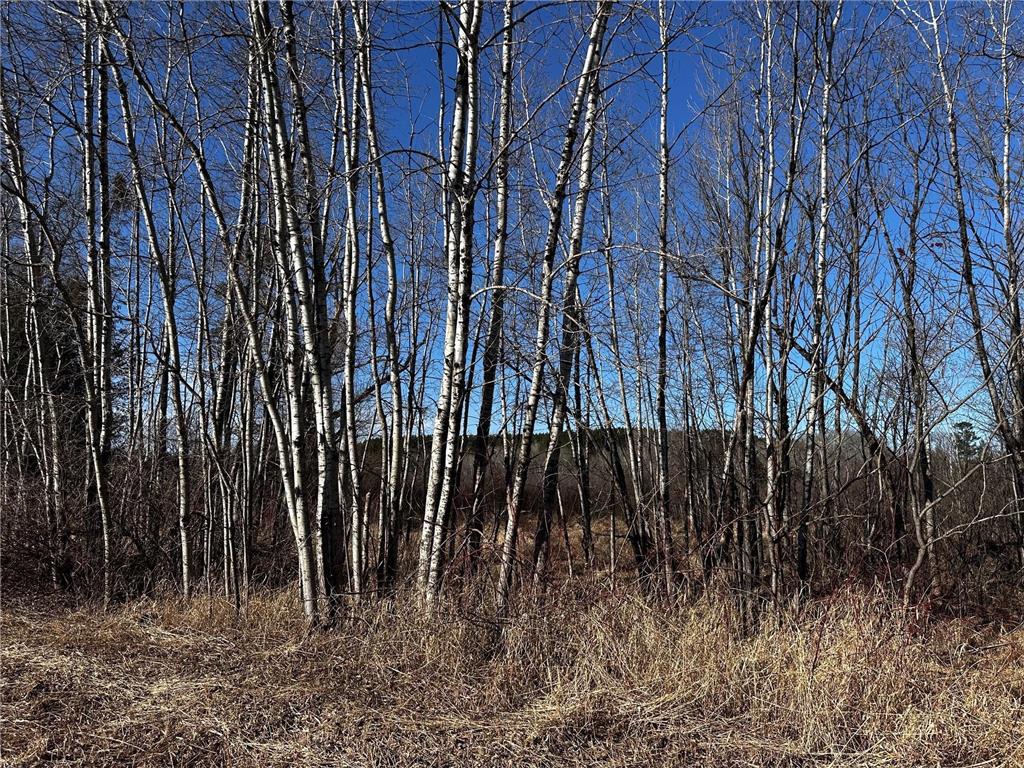 8601 E County Rd L Bennett WI 54873 6516141 image4