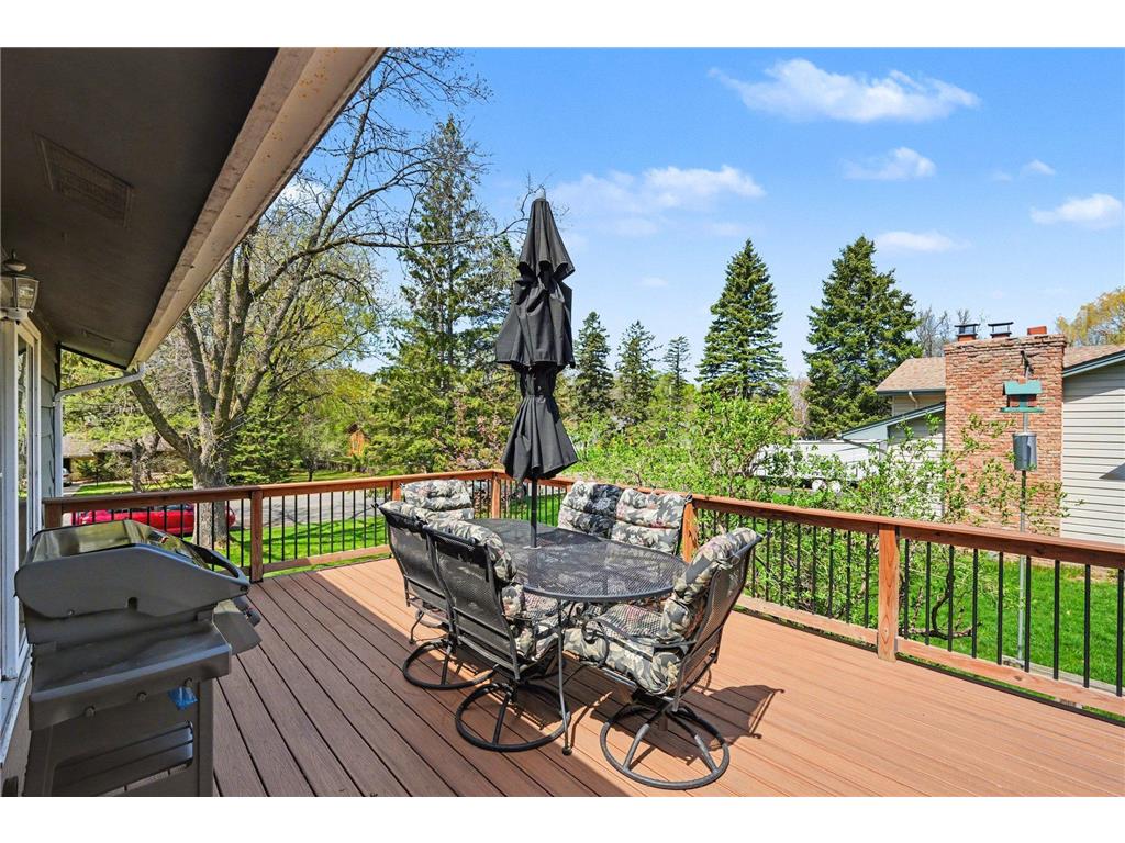 8608 Mattson Brook Lane Brooklyn Park MN 55444 7039857 image23