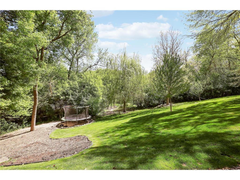 8619 Portage Lane E Shakopee MN 55379 7076071 image88