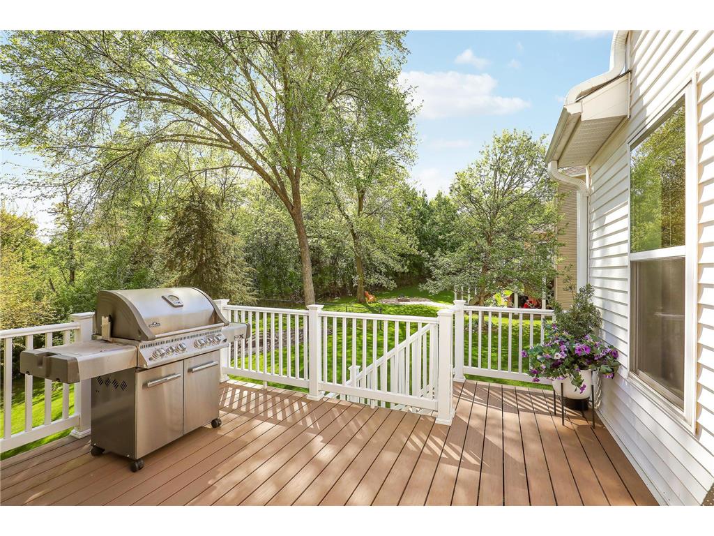 8619 Portage Lane E Shakopee MN 55379 7076071 image93