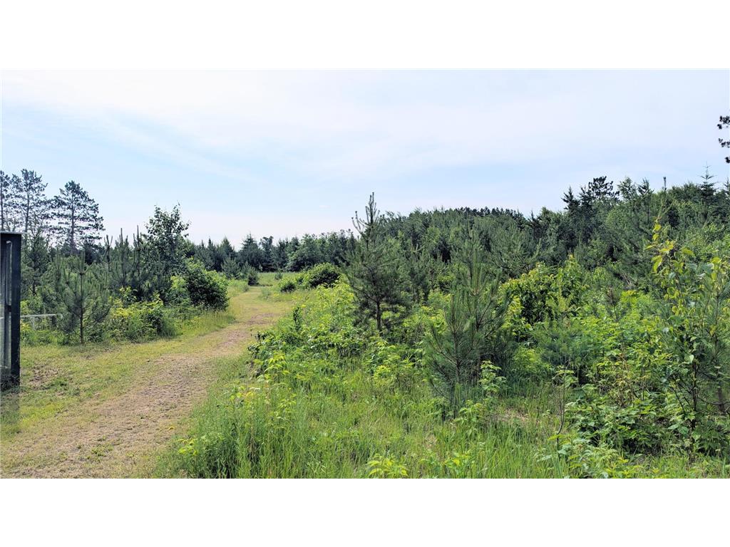 86196 Military Road Windemere Twp MN 55783 7101021 image38