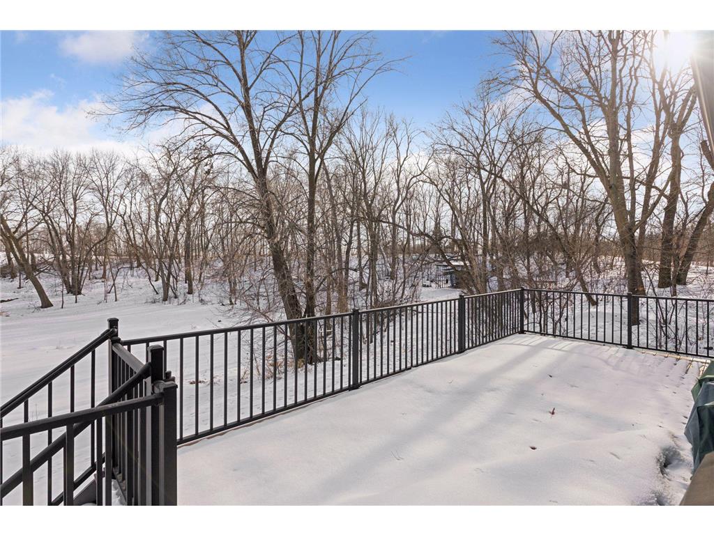 8625 Bagley Avenue Webster Twp MN 55057 - Union Lake 7015538 image21