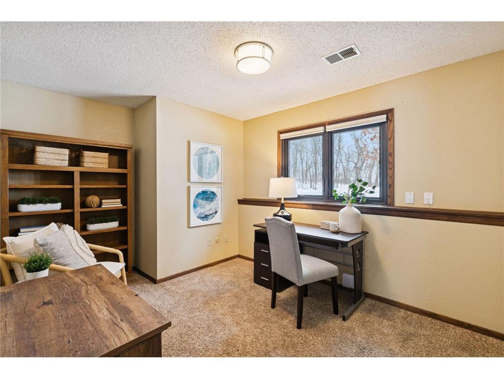 8625 Bagley Avenue Webster Twp MN 55057 - Union Lake 7015538 image35