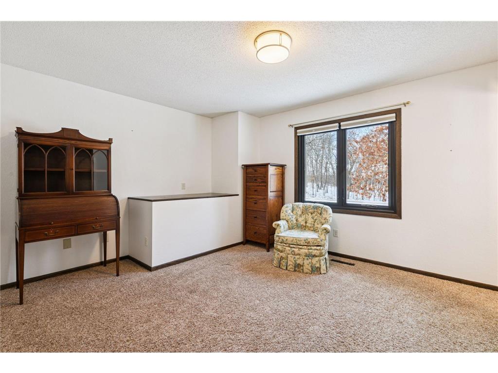 8625 Bagley Avenue Webster Twp MN 55057 - Union Lake 7015538 image39