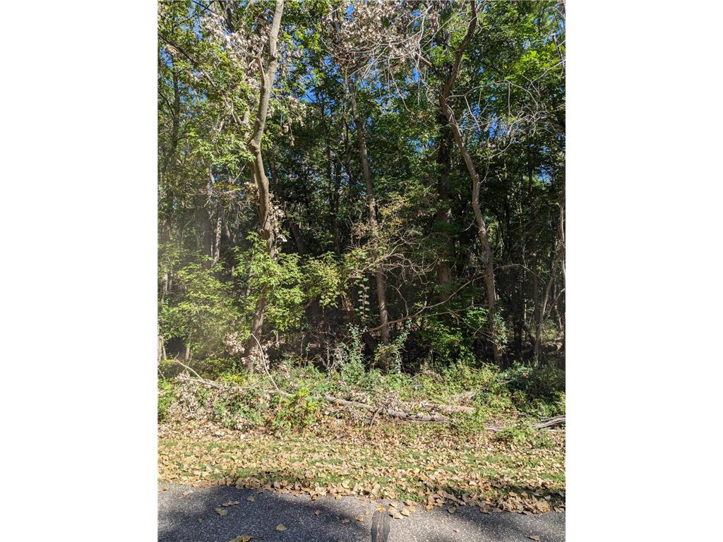 TBD Decathelon Dovre Twp MN 56288 6606406 image1