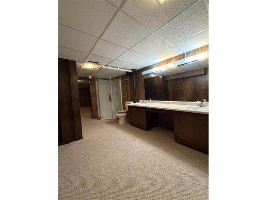 8633 Greenway Avenue S Cottage Grove MN 55016 7105056 image39