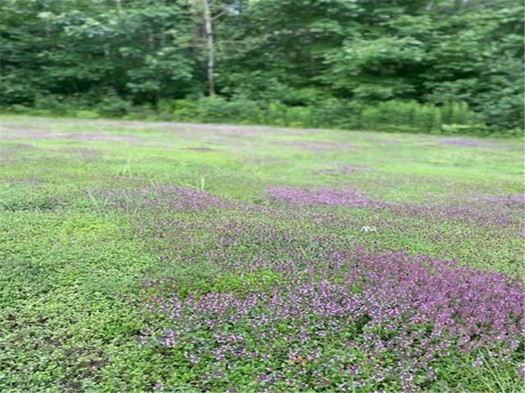 86360 Meyers Olson Road Bayfield WI 54814 7014437 image66