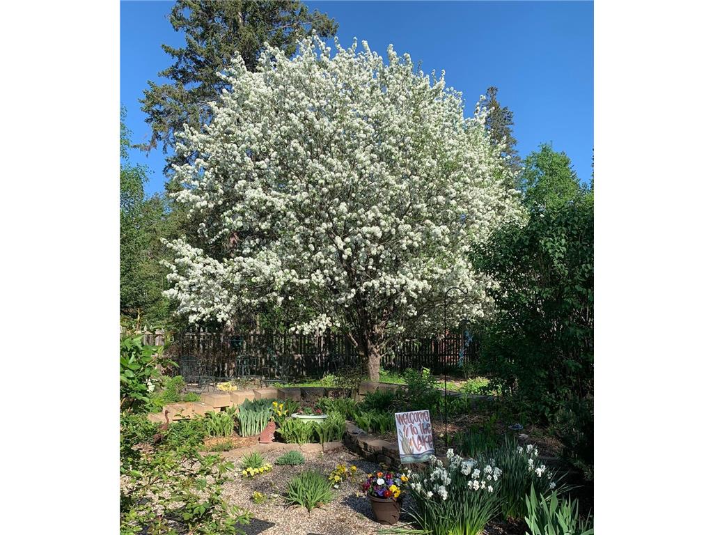 8639 S Strand Lake Road Cotton MN 55724 - Strand 6693303 image33