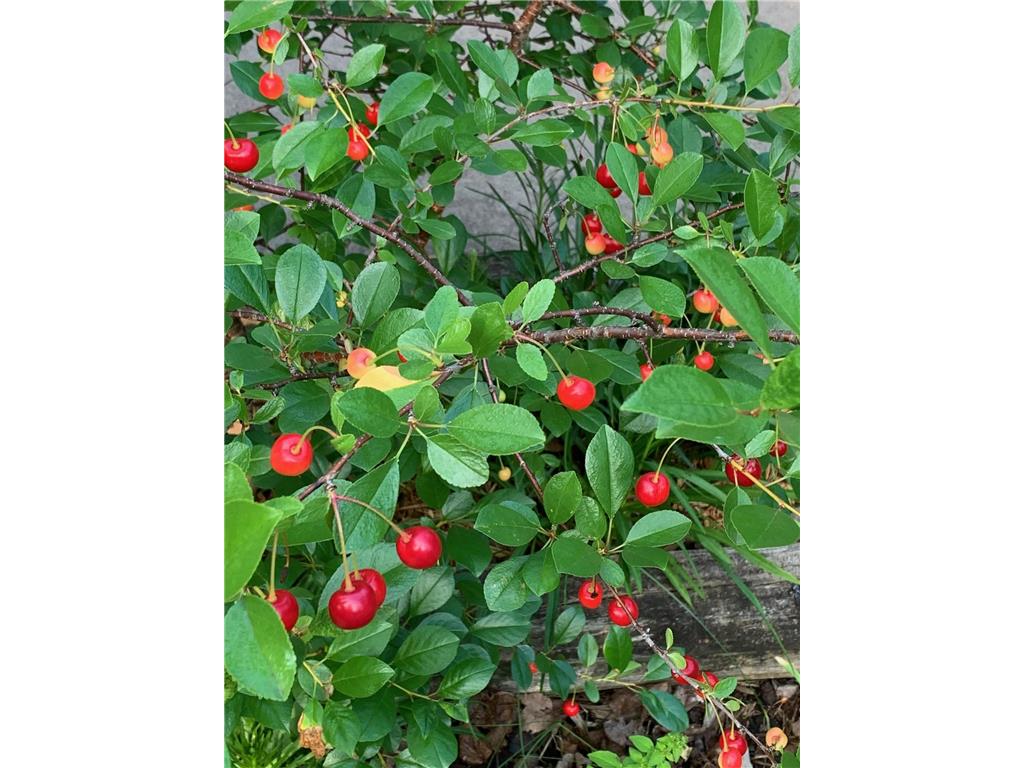 8639 S Strand Lake Road Cotton MN 55724 - Strand 6693303 image39